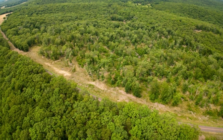 Unimproved Farmland for Sale in Belle, Missouri - image 3