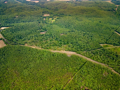 Unimproved Farmland for Sale in Belle, Missouri - image 1