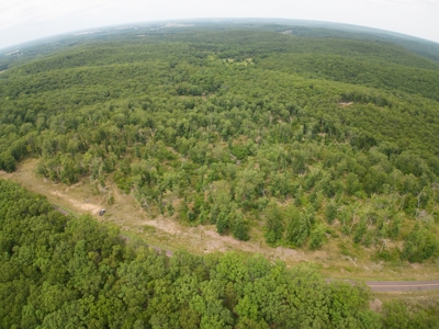 Unimproved Farmland for Sale in Belle, Missouri - image 4