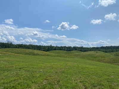 Land For Sale In Tn, 7 Acres+/-, Open Land - image 8