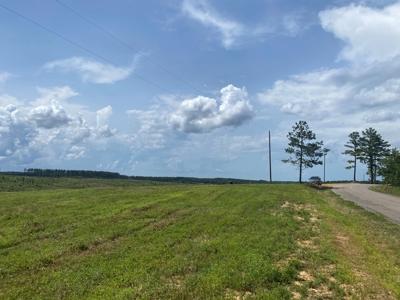 Land For Sale In Tn, 7 Acres+/-, Open Land - image 4