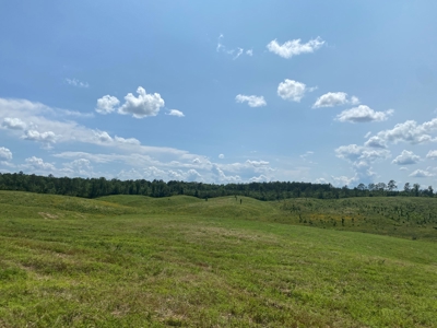 Land For Sale In Tn, 7 Acres+/-, Open Land - image 5