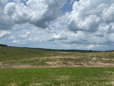 Land For Sale In Tn, 7 Acres+/-, Open Land - image 9