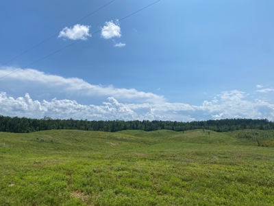 Land For Sale In Tn, 7 Acres+/-, Open Land - image 2