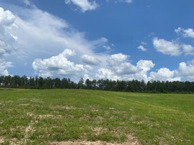 Land For Sale In Tn, 7 Acres+/-, Open Land - image 12