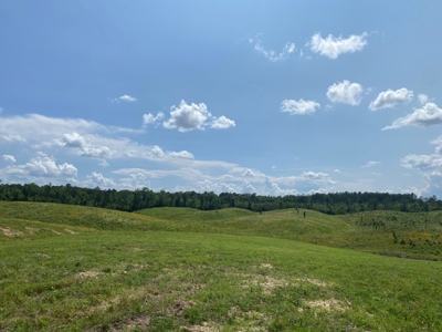 Land For Sale In Tn, 7 Acres+/-, Open Land - image 6