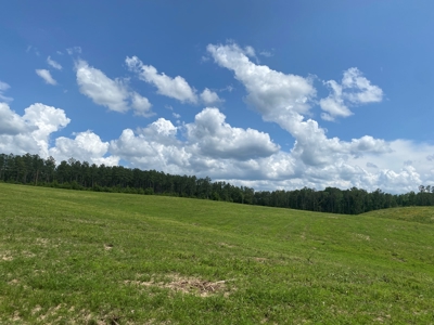 Land For Sale In Tn, 7 Acres+/-, Open Land - image 11