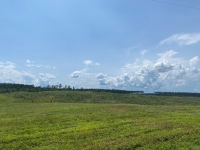 Land For Sale In Tn, 7 Acres+/-, Open Land - image 3