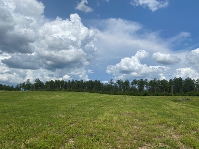 Land For Sale In Tn, 7 Acres+/-, Open Land - image 13