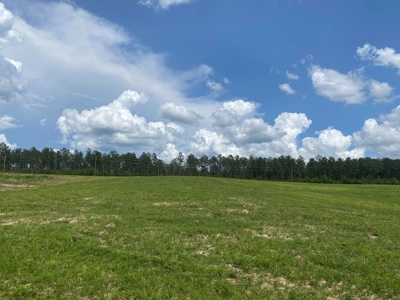 Land For Sale In Tn, 7 Acres+/-, Open Land - image 10