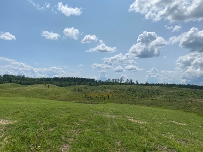Land For Sale In Tn, 7 Acres+/-, Open Land - image 7