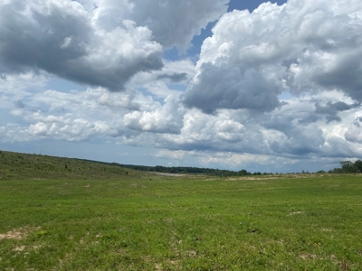 Land For Sale In Tn, 7 Acres+/-, Open Land - image 14