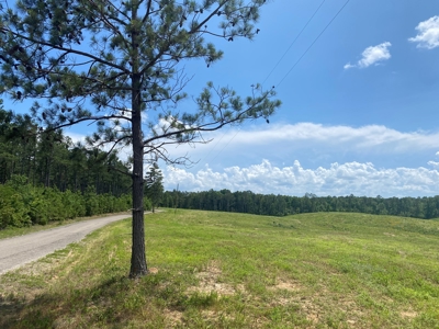 Land For Sale In Tn, 7 Acres+/-, Open Land - image 1