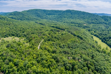 Absolute Auction- Online Only- McCreary County, KY - image 11