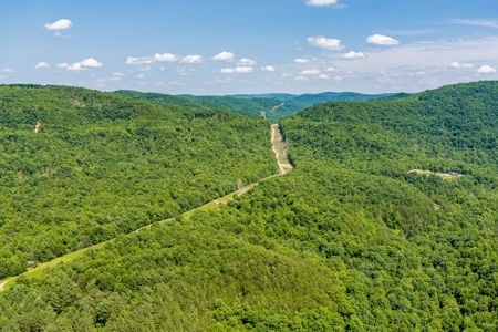 Absolute Auction- Online Only- McCreary County, KY - image 22