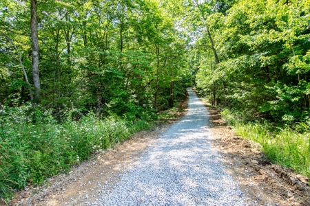 Absolute Auction- Online Only- McCreary County, KY - image 4