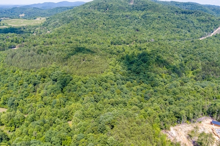 Absolute Auction- Online Only- McCreary County, KY - image 19