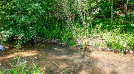 Absolute Auction- Online Only- McCreary County, KY - image 8