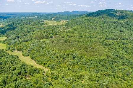 Absolute Auction- Online Only- McCreary County, KY - image 21