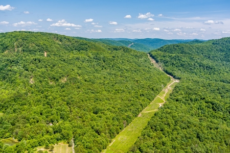 Absolute Auction- Online Only- McCreary County, KY - image 27