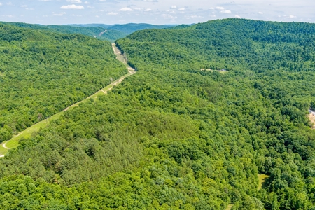 Absolute Auction- Online Only- McCreary County, KY - image 20