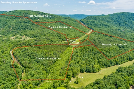 Absolute Auction- Online Only- McCreary County, KY - image 12