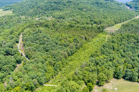 Absolute Auction- Online Only- McCreary County, KY - image 9