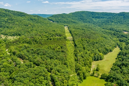 Absolute Auction- Online Only- McCreary County, KY - image 10