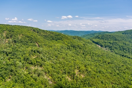Absolute Auction- Online Only- McCreary County, KY - image 25