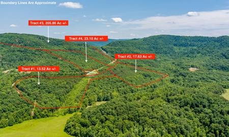 Absolute Auction- Online Only- McCreary County, KY - image 1