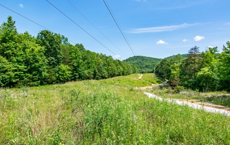 Absolute Auction- Online Only- McCreary County, KY - image 2