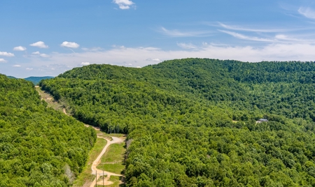 Absolute Auction- Online Only- McCreary County, KY - image 17
