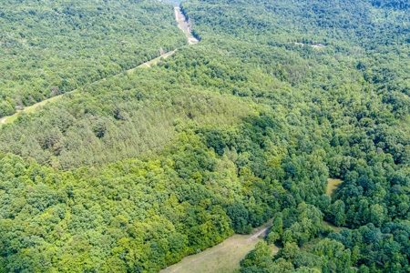 Absolute Auction- Online Only- McCreary County, KY - image 18