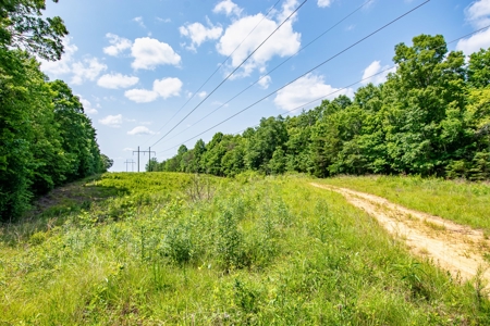 Absolute Auction- Online Only- McCreary County, KY - image 3