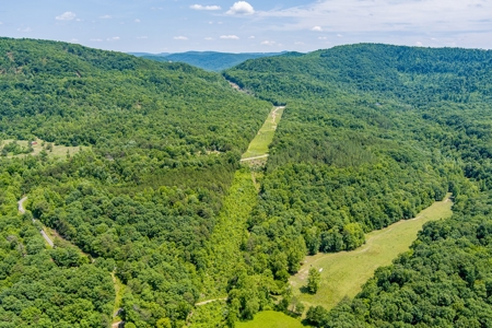 Absolute Auction- Online Only- McCreary County, KY - image 13