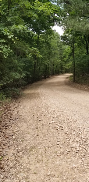 Mundell Rd. to the north