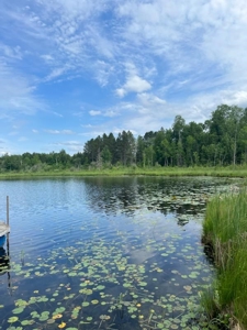 A-Frame Lakehouse for Sale in Mizpah, Minnesota - image 47