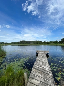 A-Frame Lakehouse for Sale in Mizpah, Minnesota - image 7