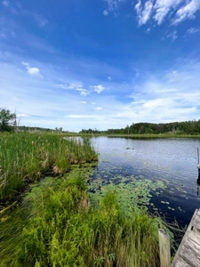 A-Frame Lakehouse for Sale in Mizpah, Minnesota - image 8