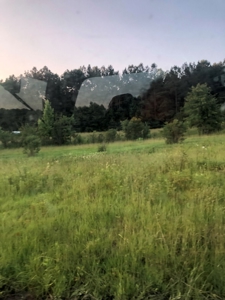 50 Acres Hunting Land with Creek Frontage Lincoln County MS - image 12