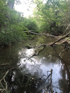 50 Acres Hunting Land with Creek Frontage Lincoln County MS - image 4