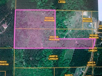 50 Acres Hunting Land with Creek Frontage Lincoln County MS - image 2