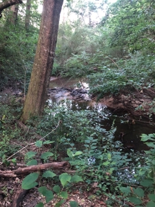 50 Acres Hunting Land with Creek Frontage Lincoln County MS - image 8