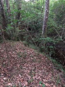 50 Acres Hunting Land with Creek Frontage Lincoln County MS - image 7