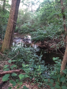 50 Acres Hunting Land with Creek Frontage Lincoln County MS - image 11