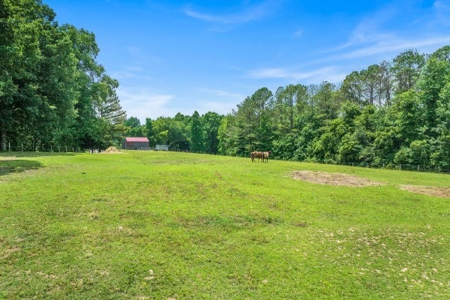 Secluded Country Home With Creek Frontage For Sale In TN - image 49