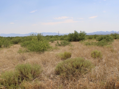 Spectacular property with WELL in St David, AZ. - image 12