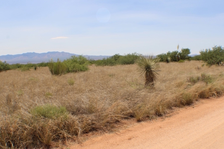 Spectacular property with WELL in St David, AZ. - image 10