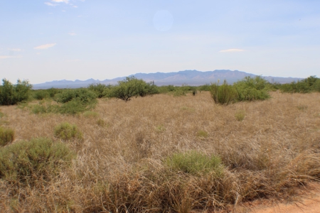 Spectacular property with WELL in St David, AZ. - image 11