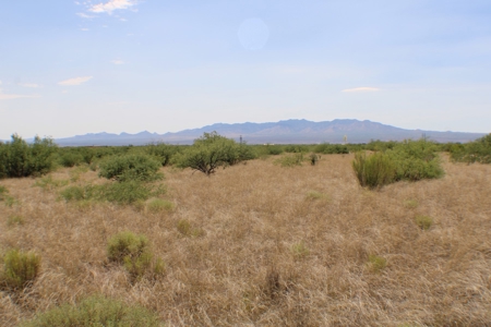 Spectacular property with WELL in St David, AZ. - image 14
